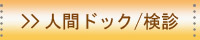 人間ドッグ／検診